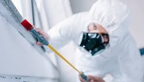 Best Commercial Pest Control  in Port Jervis, NY